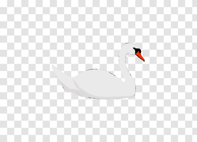 Bird Swan Ducks, Geese And Swans Water Beak - Wet Ink - Neck Tundra Transparent PNG