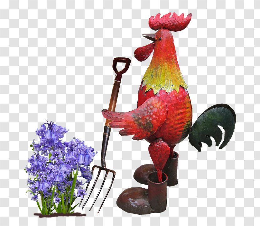 Lawn Mowers Image Chicken - Bird - Belarra Mozteko Makina Transparent PNG