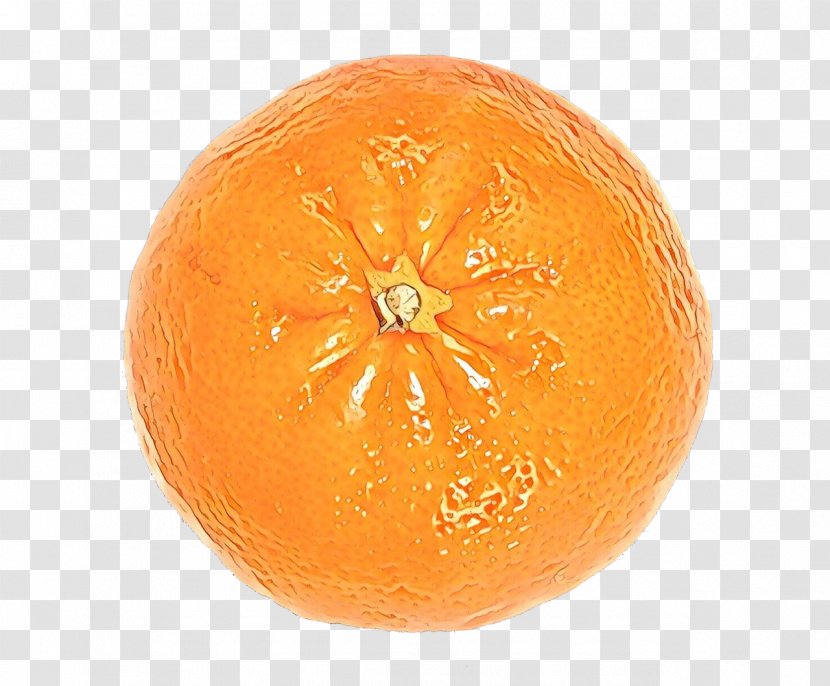 Winter Background - Tangerine - Persimmon Valencia Orange Transparent PNG