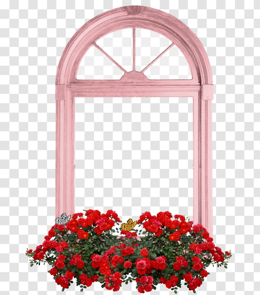 Floral Design Window Cut Flowers Garden Roses - Picture Frame - Dan Humphrey Transparent PNG
