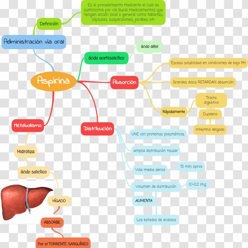 Concept Map Pharmacology Pharmacokinetics Diagram - Mind Transparent PNG