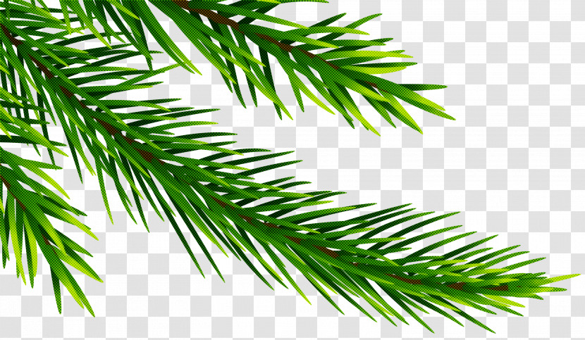 Christmas Tree Transparent PNG