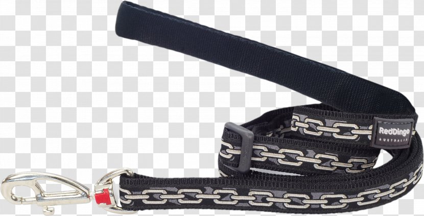 Dingo Dog Collar Puppy Leash - Fashion Accessory - Chain Transparent PNG
