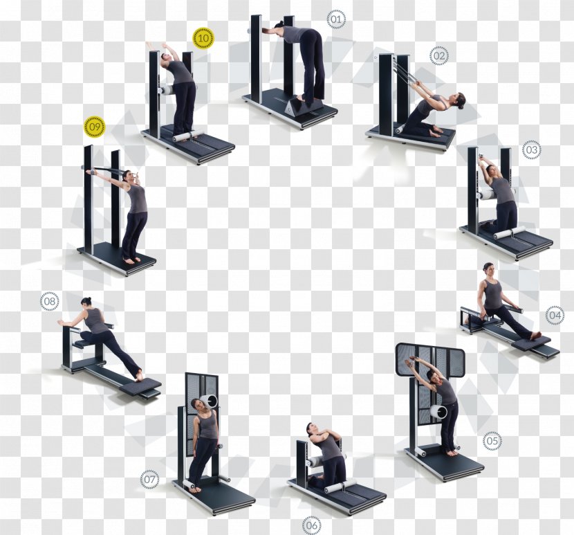 SKYLIFE Fitness GmbH Exercise Vertebral Column Physical Flexibility - Stretching - Garage Gym Motivation Transparent PNG