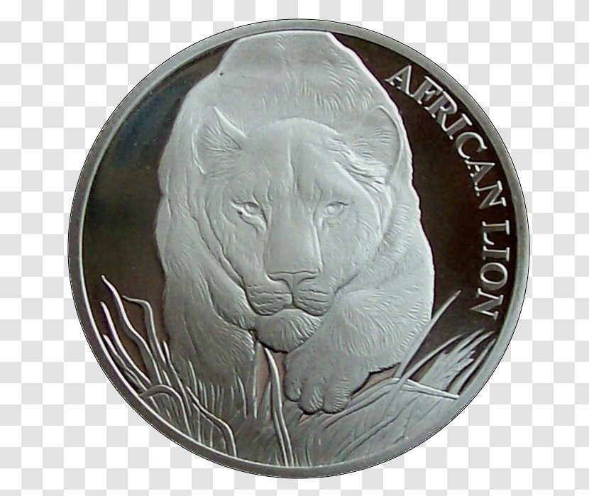 Coin Stone Carving Cat Silver Transparent PNG