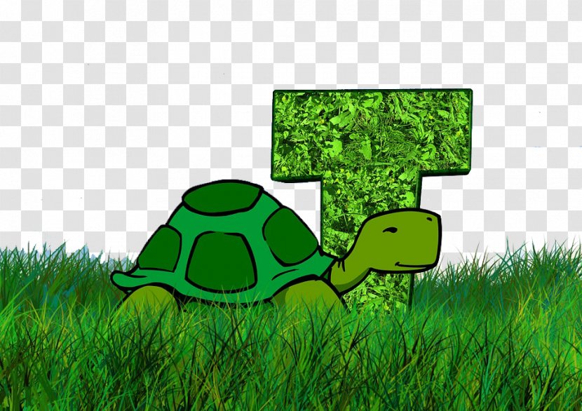 Turtle Letters ABC Tortoise - And Turtles Transparent PNG
