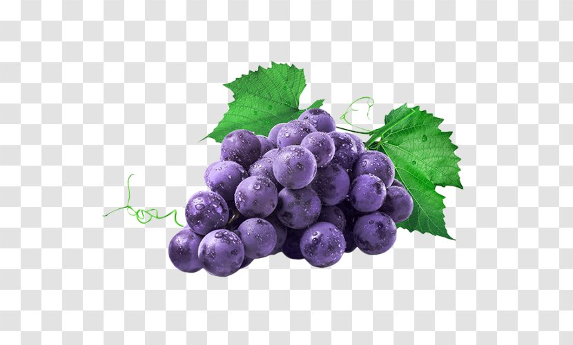 Common Grape Vine Isabella Juice Concord - Fruit - Purple Material Transparent PNG