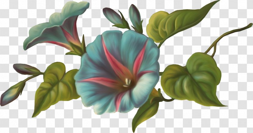 Cut Flowers Painting Floral Design Drawing - Royaltyfree - Flower Transparent PNG
