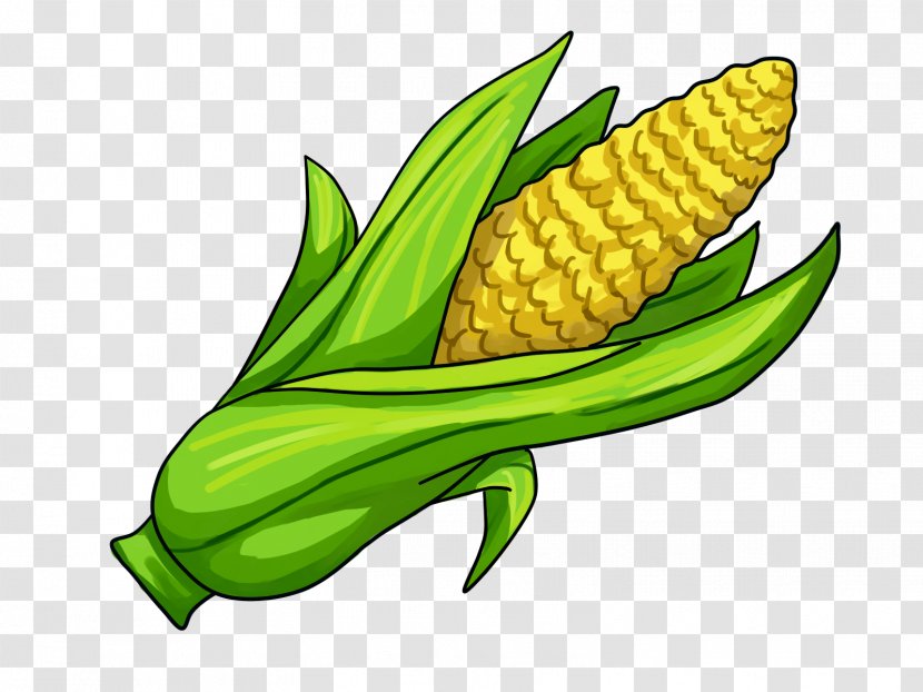 Corn On The Cob Maize Clip Art - Food - Hand-painted Transparent PNG