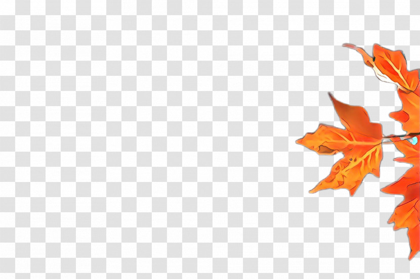 Maple Leaf Transparent PNG