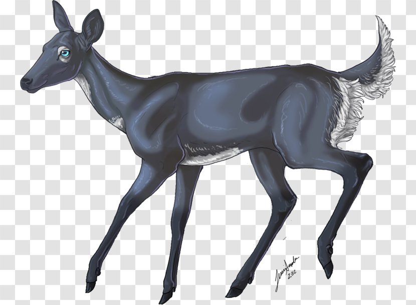 Reindeer Antelope Pack Animal Terrestrial - Fauna Transparent PNG