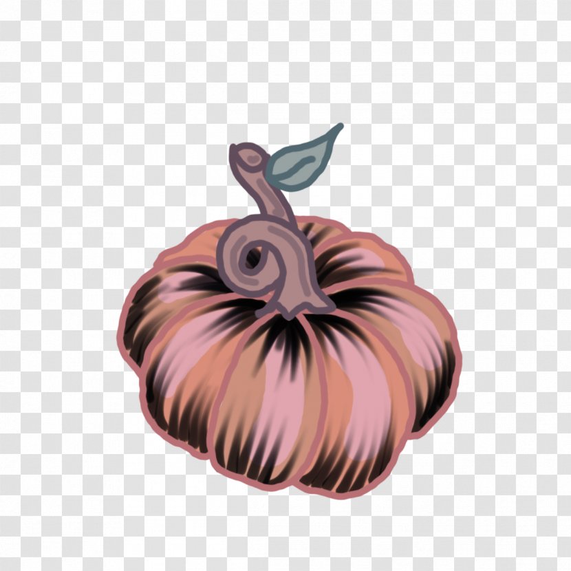 Pumpkin - Fruit - Plant Transparent PNG