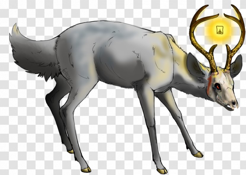 Reindeer Moose Elk Cattle Fauna - Terrestrial Animal Transparent PNG