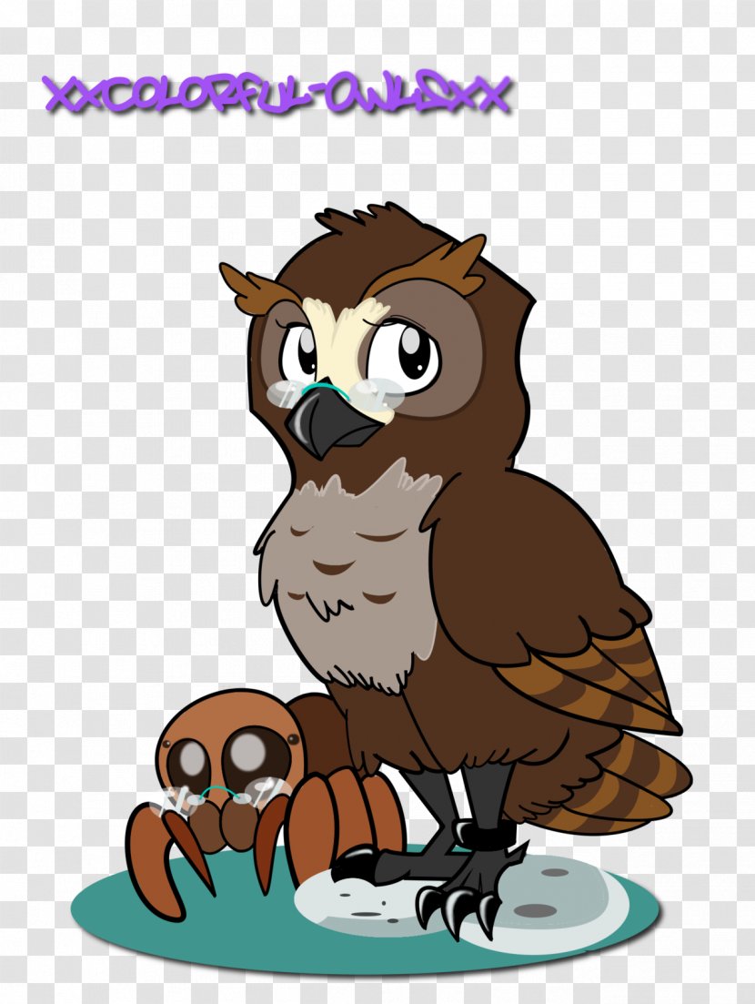 Owl Cat Beak Bird - Cartoon Transparent PNG