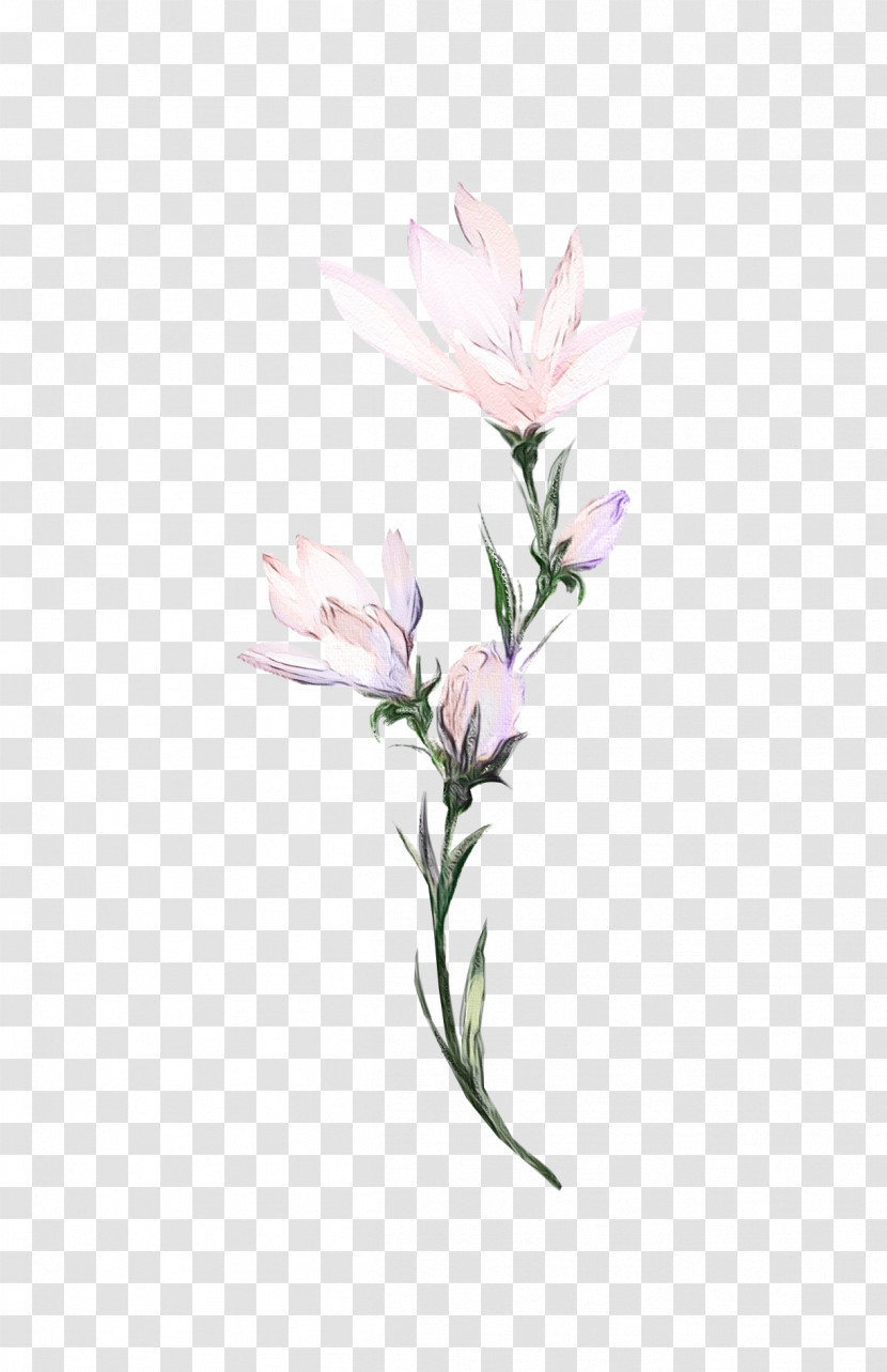 Floral Design Transparent PNG