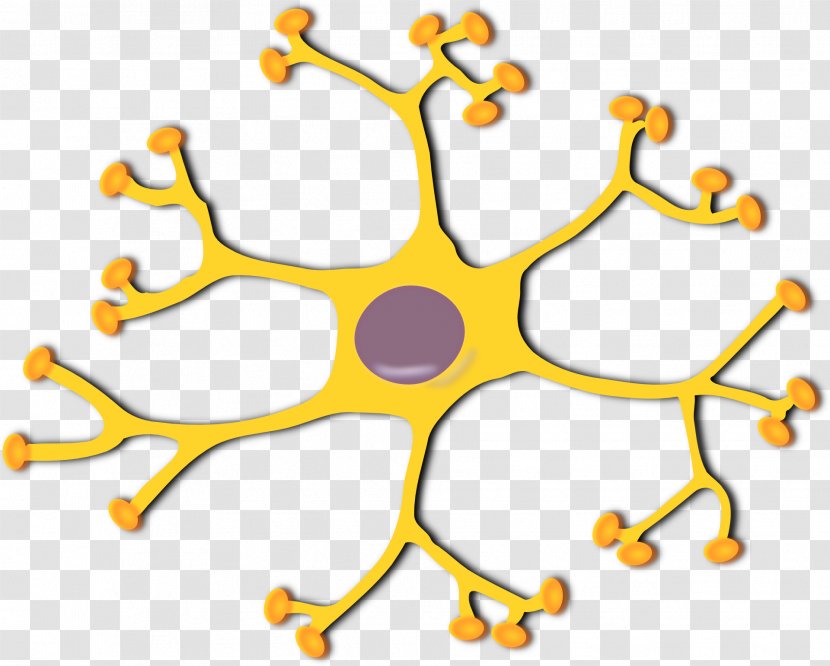 Motor Neuron Interneuron Clip Art - Dendrite - Neurons Transparent PNG