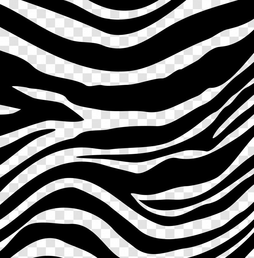 Zebra Black And White Transparent PNG