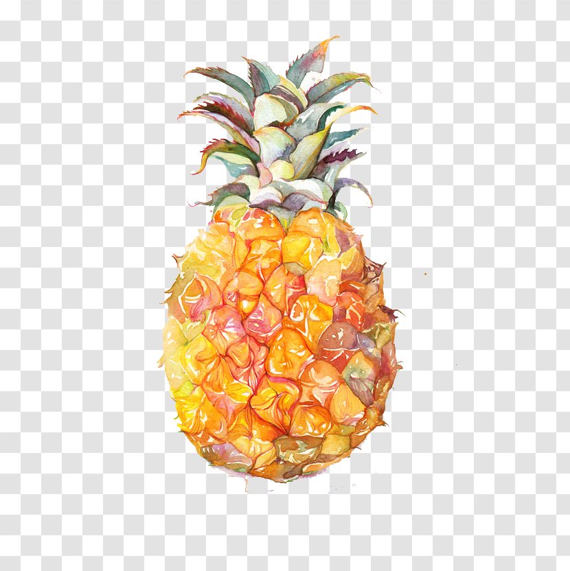Pineapple - Natural Foods - Poales Transparent PNG