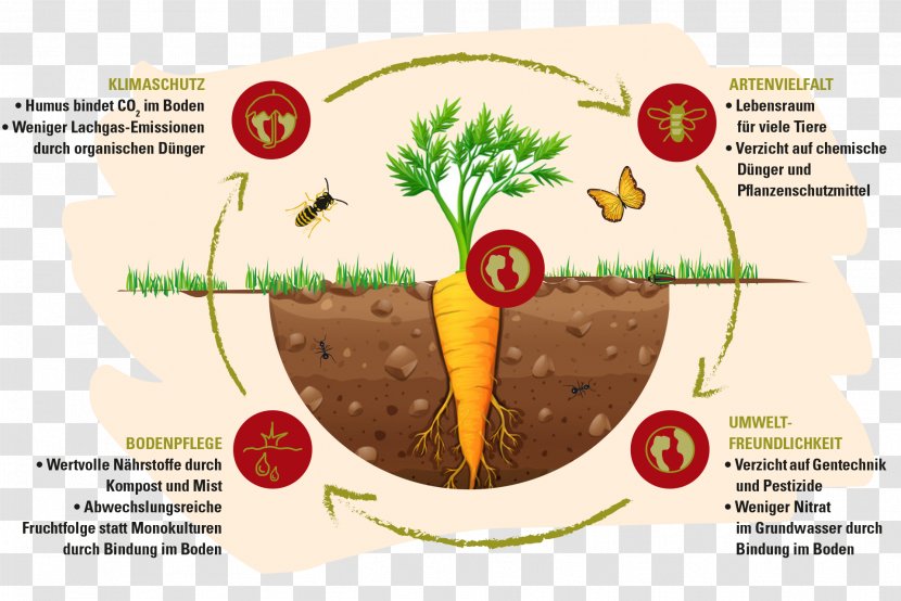 Organic Food Farming Biodynamic Agriculture Crop Rotation - Demeter Transparent PNG