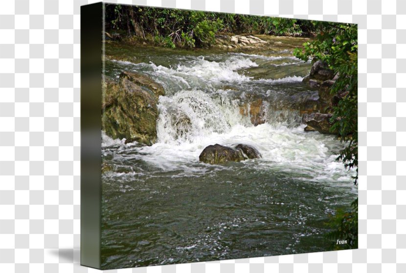 Waterfall Water Resources Nature Reserve Stream Watercourse - River - Park Transparent PNG