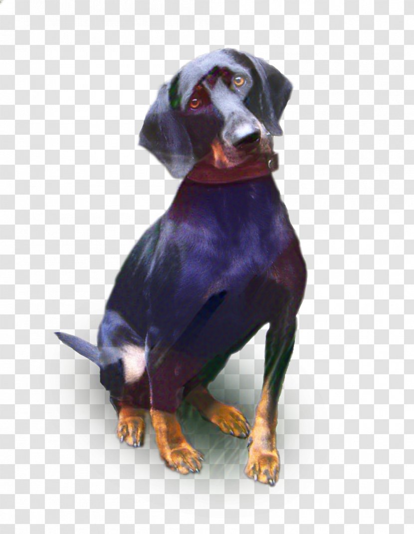 Mountain Cartoon - Dobermann - Dachshund Transylvanian Hound Transparent PNG