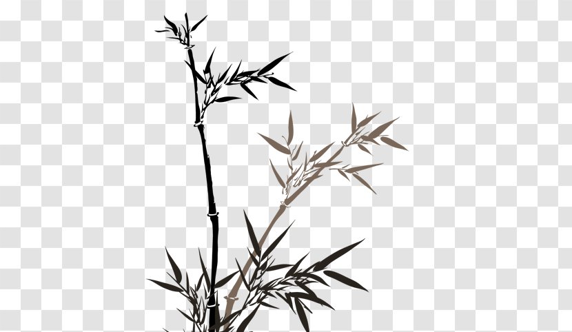Bamboo Painting Euclidean Vector Bamboe - Twig - Leaves Transparent PNG