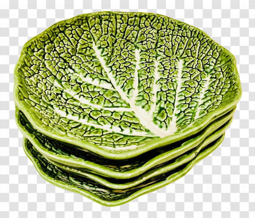 Greens Pasta Salad Lettuce Bowl - Plate Transparent PNG