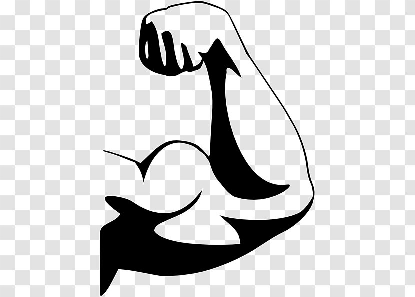 Clip Art Muscle Arm Image Biceps - Artwork Transparent PNG