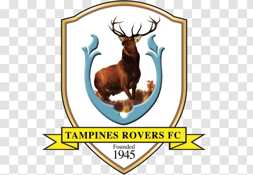 Tampines Rovers FC Hougang United 2018 Singapore Premier League Balestier Khalsa Albirex Niigata - Fc - Egypt National Football Team FIFA World Cup Transparent PNG