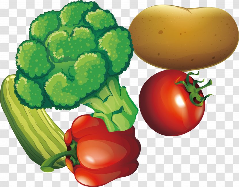 Vegetable Illustration - Text - Cartoon Vegetables Transparent PNG