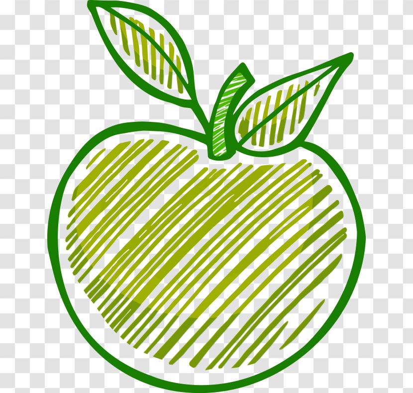 Drawing MacBook Apple Clip Art - Macbook Transparent PNG