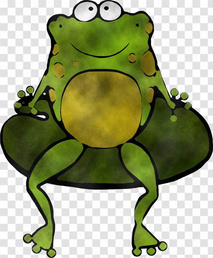 Green Frog Cartoon Toad Hyla - True - Tree Bullfrog Transparent PNG