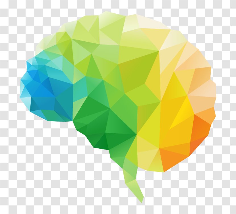 Human Brain Polygon Head - Geometry Transparent PNG