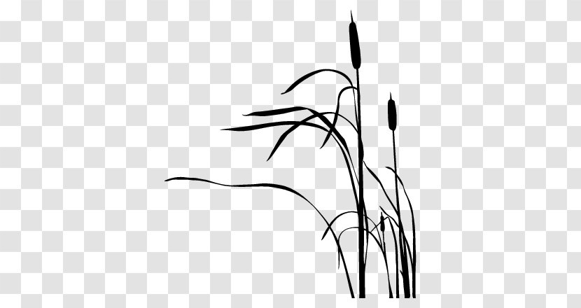 Cattail Drawing Silhouette - Flower - Journal Tail Footer Line Transparent PNG