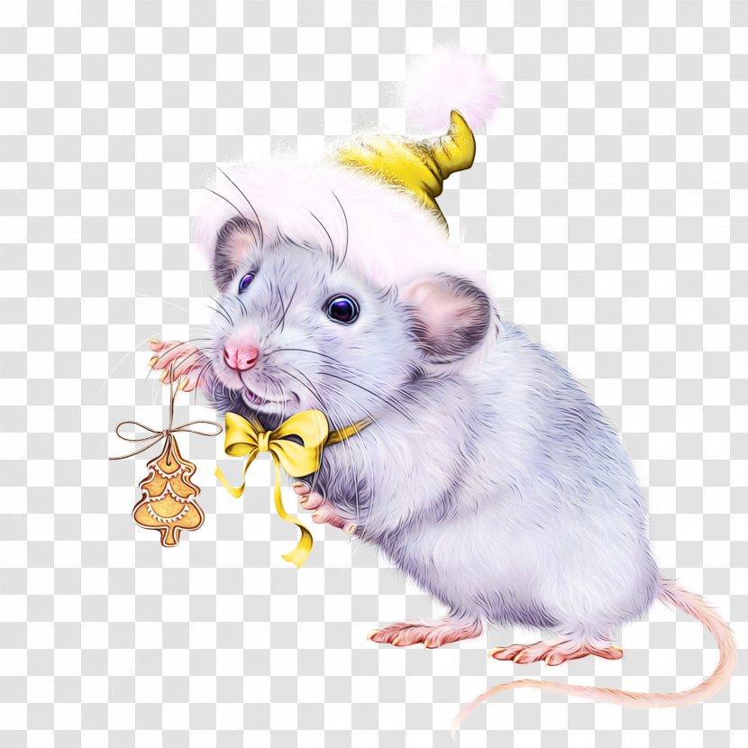Hamster - Gerbil - Grasshopper Mouse Chinchilla Transparent PNG