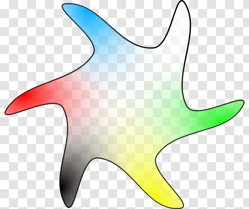 Star Drawing - Line Art - Starfish Transparent PNG