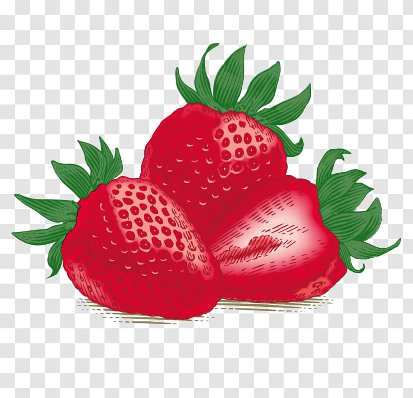 Lip Balms & Treatments Burt's Bees Gloss Bees, Inc. Lips - Beeswax - Summer Food Flower Png Strawberries Fruit Transparent PNG