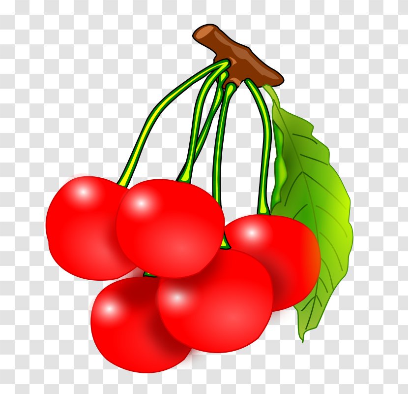 Fruit Clip Art - Apple - Cherry Transparent PNG