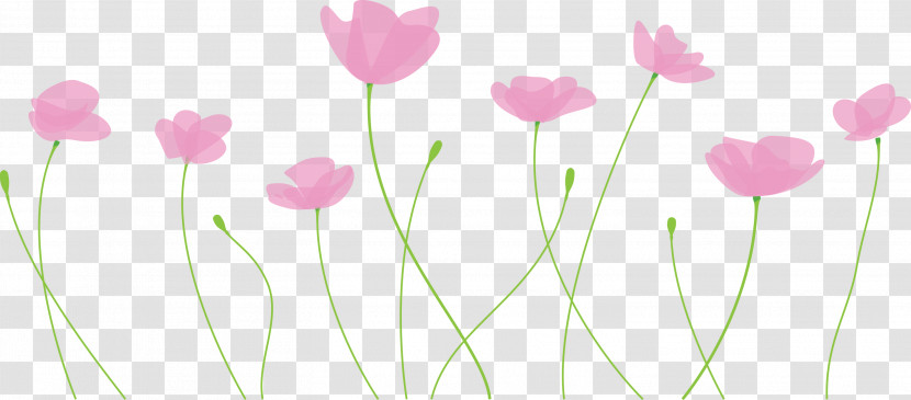 Poppy Flower Transparent PNG