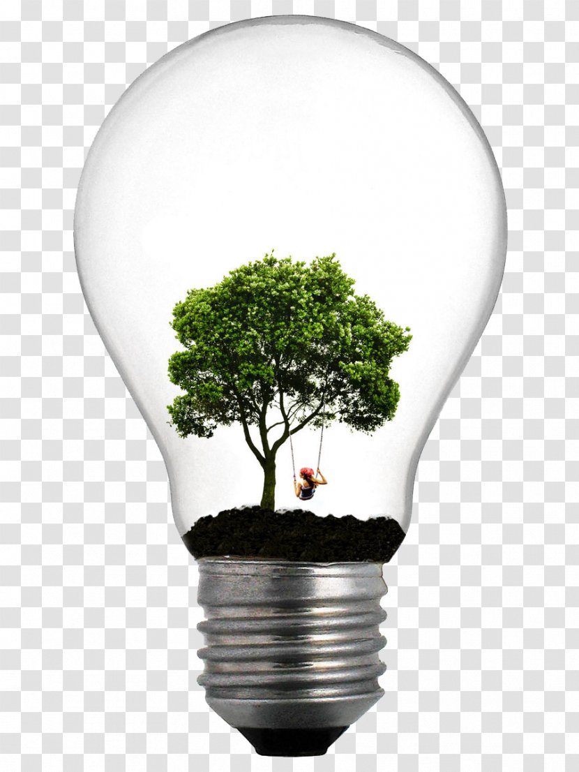 Incandescent Light Bulb Tree Lamp Lighting - Lightbulb Transparent PNG