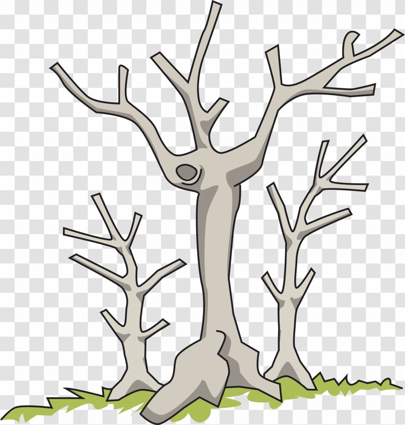 Tree Branch Clip Art - Organism - Dead Transparent PNG