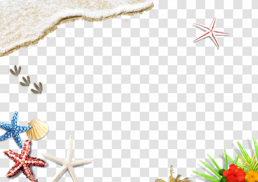 Beach Starfish Wallpaper - Computer Transparent PNG