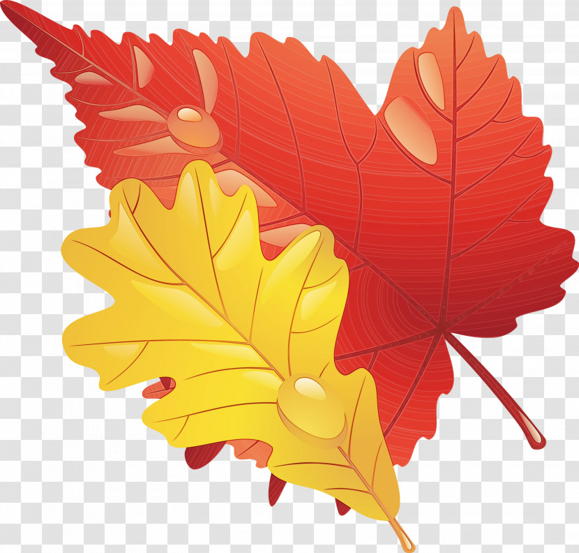 Maple Leaf Transparent PNG