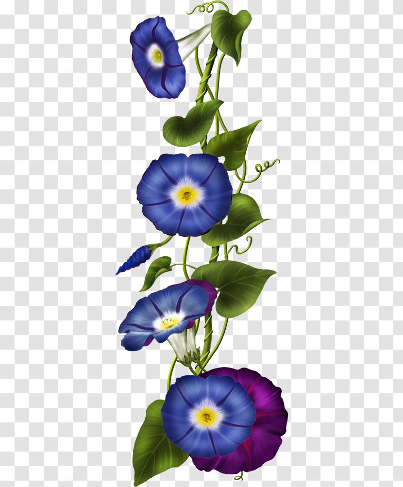 Flower Floral Design Download Clip Art - Royaltyfree Transparent PNG