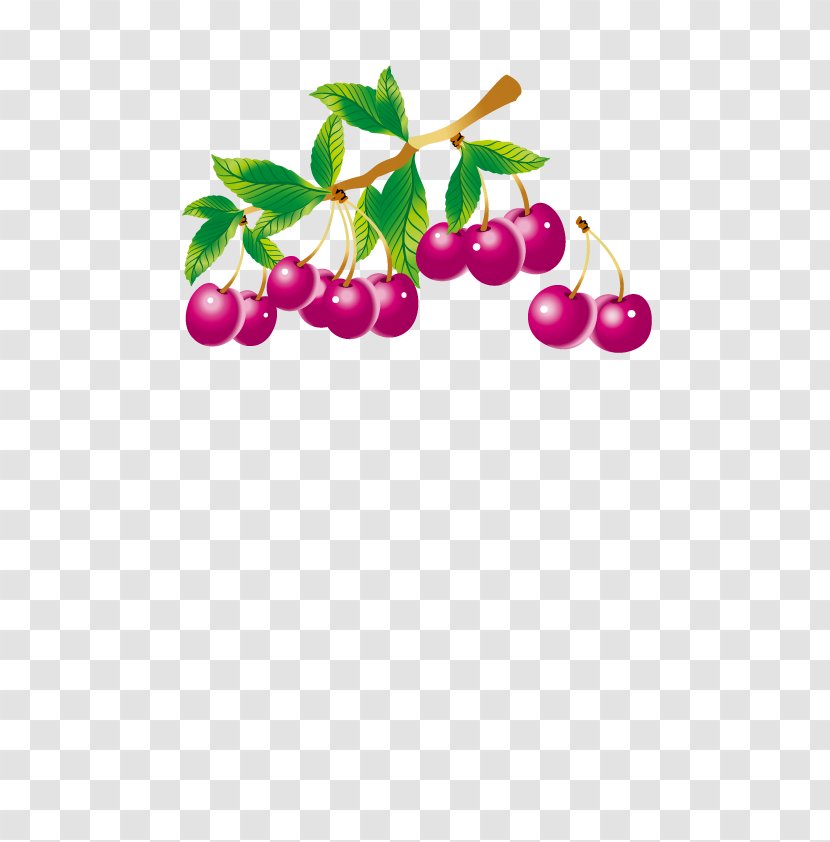 Fruit Preserves Illustration - Berry - Purple Cherry Transparent PNG