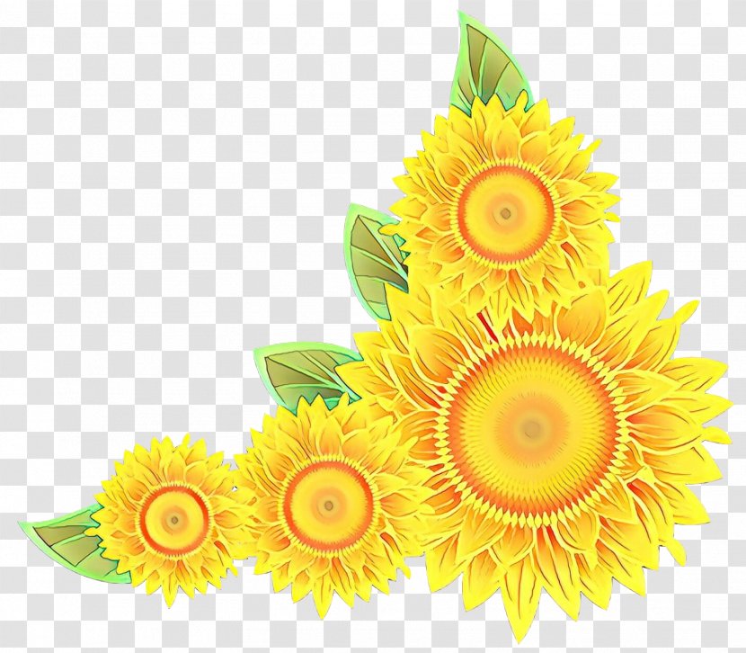 Sunflower - Flower - Gerbera Plant Transparent PNG