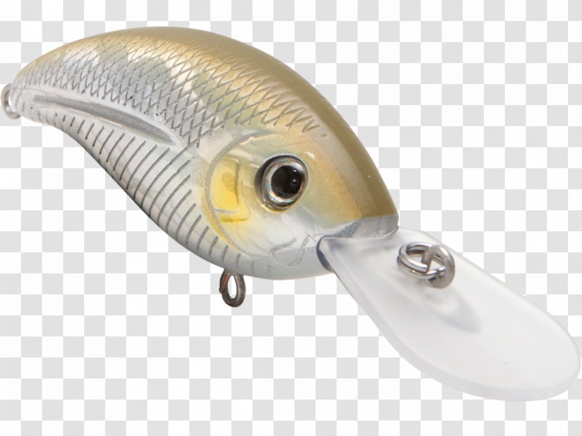 Fishing Baits & Lures - Bait Transparent PNG