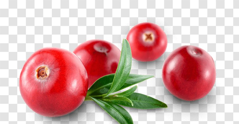 Cranberry Tomato Barbados Cherry Ingredient Food Transparent PNG