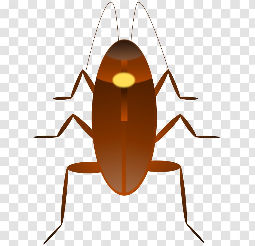 Dr. Cockroach Clip Art Transparent PNG