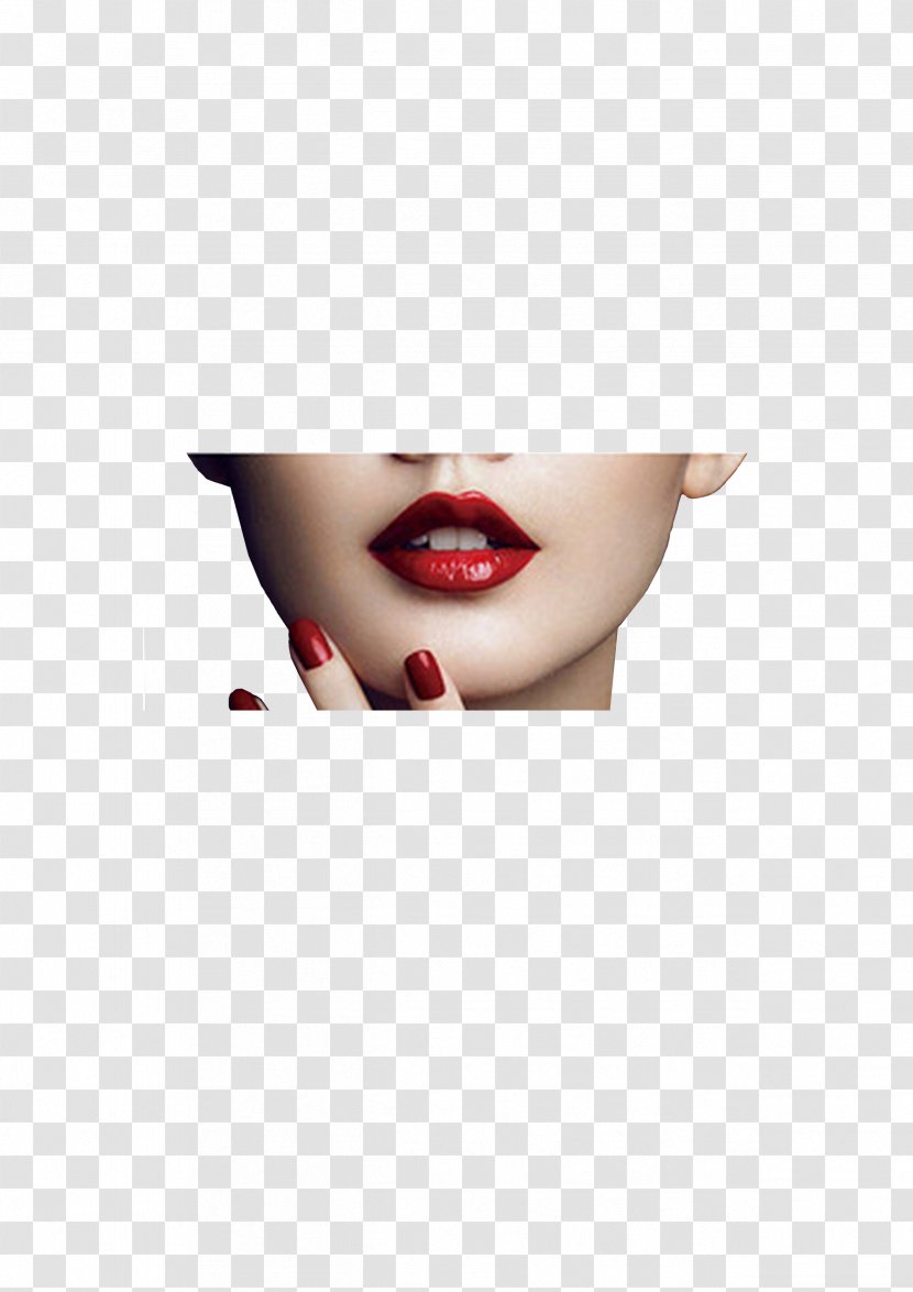 Lip Red Euclidean Vector - Chin - A Lips Transparent PNG